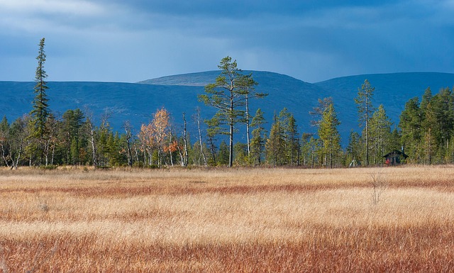 עיצוב פיני: 6 מלונות לחובבי אדריכלות וסטייל נורדי