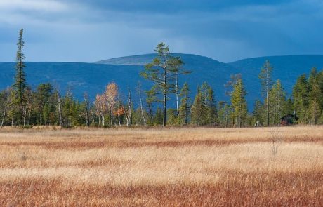 עיצוב פיני: 6 מלונות לחובבי אדריכלות וסטייל נורדי